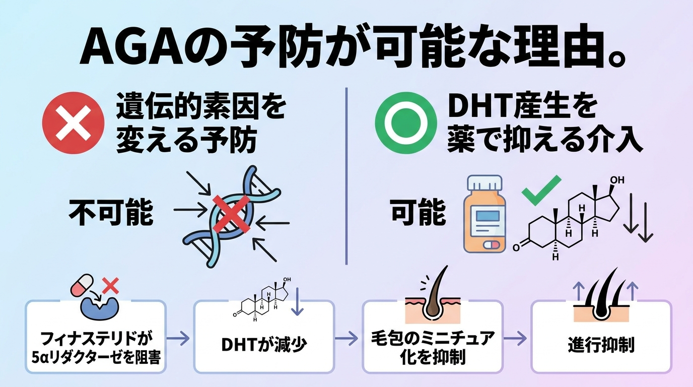 タイトル: AGAの予防が可能な理由。横並び2カラムの図解。左カラム（×マーク）: 「遺伝的素因を変える予防」→ 不可能。右カラム（○マーク）: 「DHT産生を薬で抑える介入」→ 可能。下部に説明: フィナステリドが5αリダクターゼを阻害 → DHTが減少 → 毛包のミニチュア化を抑制 → 進行抑制