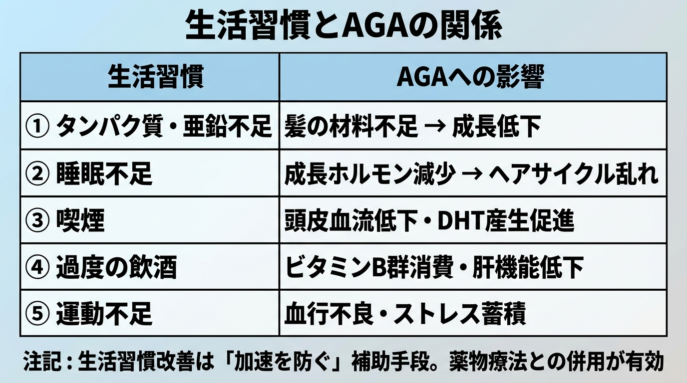 タイトル: 生活習慣とAGAの関係。2列の表。ヘッダー行: 生活習慣 | AGAへの影響。行1: タンパク質・亜鉛不足 | 髪の材料不足 → 成長低下。行2: 睡眠不足 | 成長ホルモン減少 → ヘアサイクル乱れ。行3: 喫煙 | 頭皮血流低下・DHT産生促進。行4: 過度の飲酒 | ビタミンB群消費・肝機能低下。行5: 運動不足 | 血行不良・ストレス蓄積。下部注記: 生活習慣改善は「加速を防ぐ」補助手段。薬物療法との併用が有効