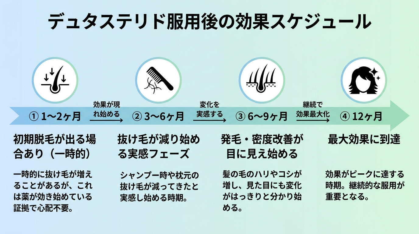タイトル: デュタステリド服用後の効果スケジュール。横向きタイムライン形式: マイルストーン1（1〜2ヶ月）: 初期脱毛が出る場合あり（一時的）。マイルストーン2（3〜6ヶ月）: 抜け毛が減り始める実感フェーズ。マイルストーン3（6〜9ヶ月）: 発毛・密度改善が目に見え始める。マイルストーン4（12ヶ月）: 最大効果に到達。各マイルストーンに短い説明テキスト付き