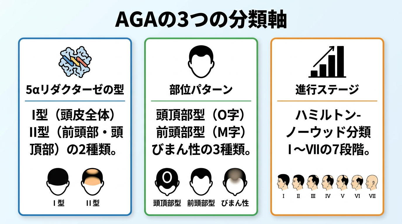 タイトル: AGAの3つの分類軸。横並び3カードで: カード1(酵素アイコン)ヘッダー: 5αリダクターゼの型、説明: I型(頭皮全体)/ II型(前頭部・頭頂部)の2種類。カード2(頭部シルエットアイコン)ヘッダー: 部位パターン、説明: 頭頂部型(O字)/ 前頭部型(M字)/ びまん性の3種類。カード3(進行度グラフアイコン)ヘッダー: 進行ステージ、説明: ハミルトン-ノーウッド分類 I〜VIIの7段階