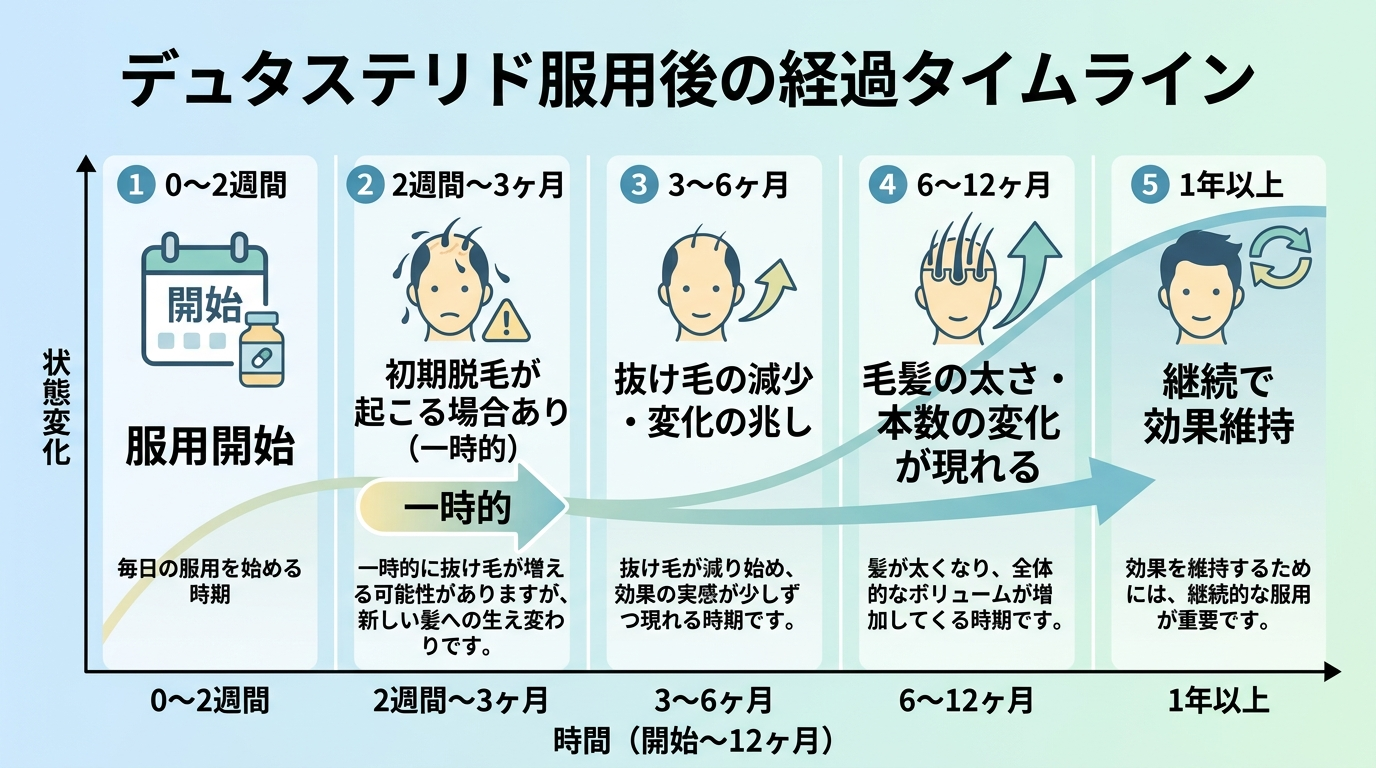 タイトル: デュタステリド服用後の経過タイムライン。横軸に時間（開始〜12ヶ月）、縦軸に状態変化。マイルストーン: 0〜2週間: 服用開始。2週間〜3ヶ月: 初期脱毛が起こる場合あり（一時的）。3〜6ヶ月: 抜け毛の減少・変化の兆し。6〜12ヶ月: 毛髪の太さ・本数の変化が現れる。1年以上: 継続で効果維持