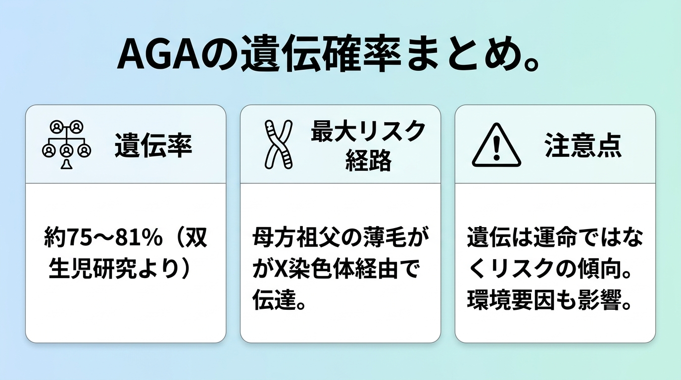 タイトル: AGAの遺伝確率まとめ。横並び3カード: カード1(家系図アイコン)ヘッダー: 遺伝率、説明: 約75〜81%(双生児研究より)。カード2(染色体アイコン)ヘッダー: 最大リスク経路、説明: 母方祖父の薄毛がX染色体経由で伝達。カード3(注意アイコン)ヘッダー: 注意点、説明: 遺伝は運命ではなくリスクの傾向。環境要因も影響