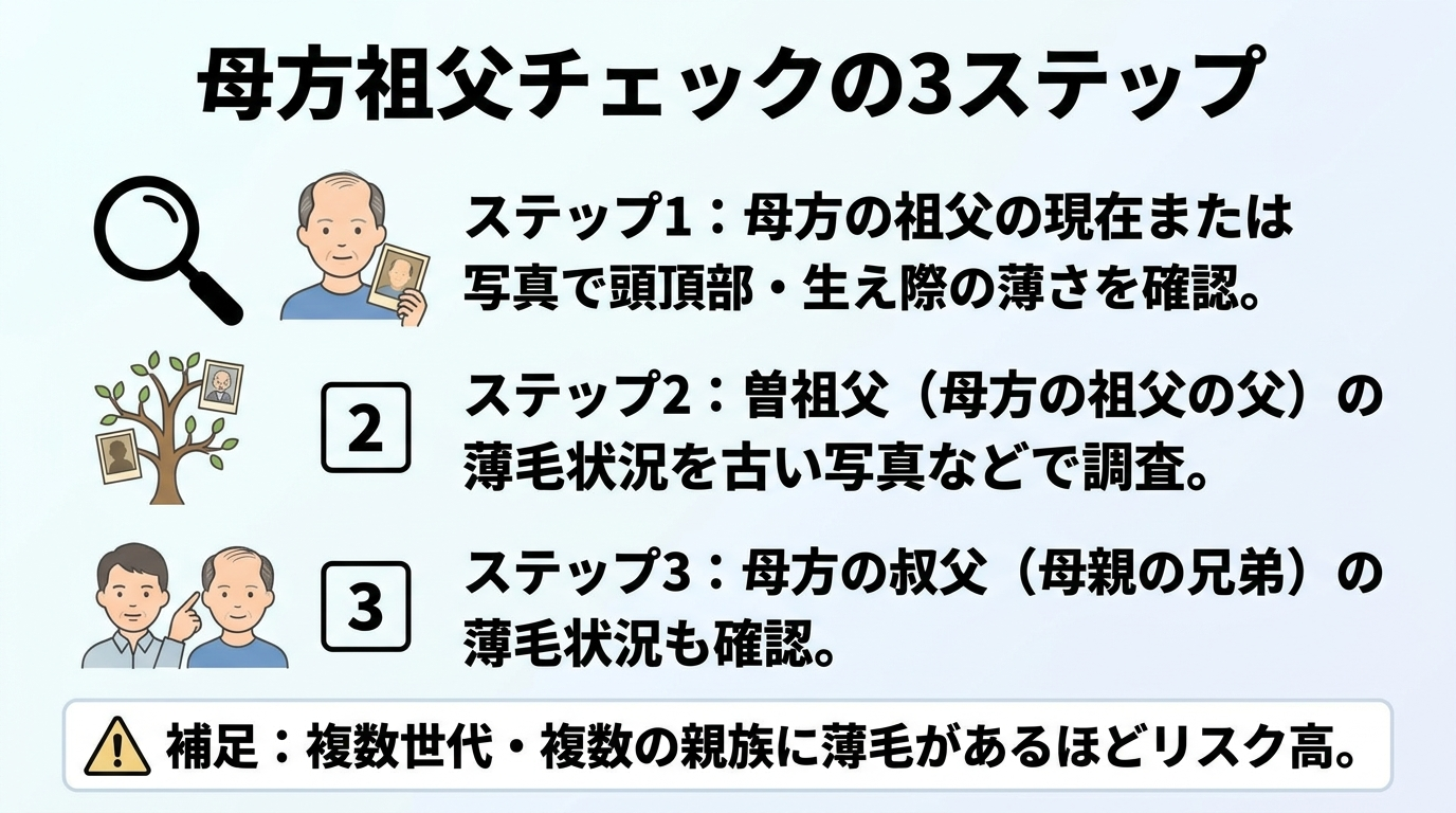 タイトル: 母方祖父チェックの3ステップ。縦並びフロー: ステップ1(虫眼鏡アイコン): 母方の祖父の現在または写真で頭頂部・生え際の薄さを確認。ステップ2(家系図アイコン): 曽祖父(母方の祖父の父)の薄毛状況を古い写真などで調査。ステップ3(人物アイコン): 母方の叔父(母親の兄弟)の薄毛状況も確認。補足: 複数世代・複数の親族に薄毛があるほどリスク高