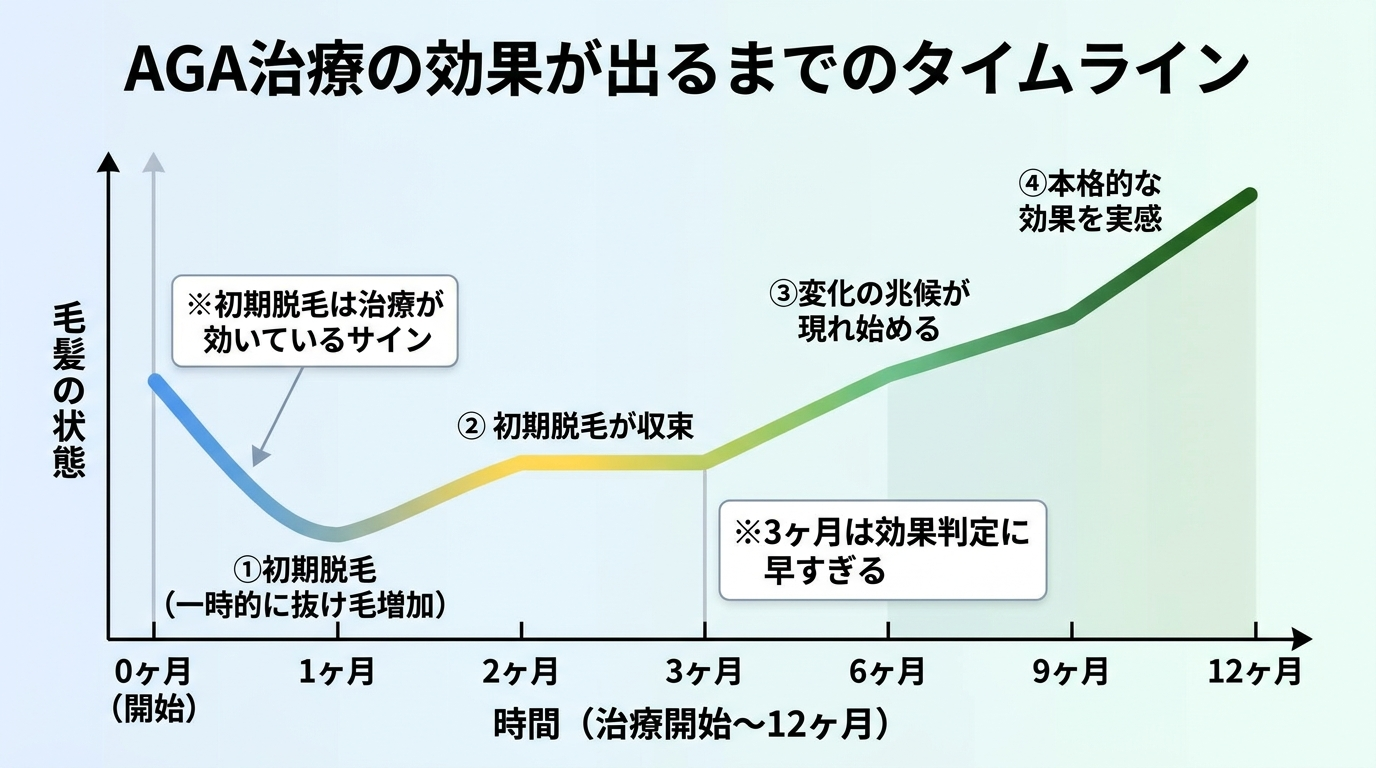 タイトル: AGA治療の効果が出るまでのタイムライン。横軸: 時間（治療開始〜12ヶ月）。縦軸: 毛髪の状態。グラフの流れ: 0〜1ヶ月: 初期脱毛（一時的に抜け毛増加）→ 2〜3ヶ月: 初期脱毛が収束 → 3〜6ヶ月: 変化の兆候が現れ始める → 6〜12ヶ月: 本格的な効果を実感。注釈: 「3ヶ月は効果判定に早すぎる」「初期脱毛は治療が効いているサイン」