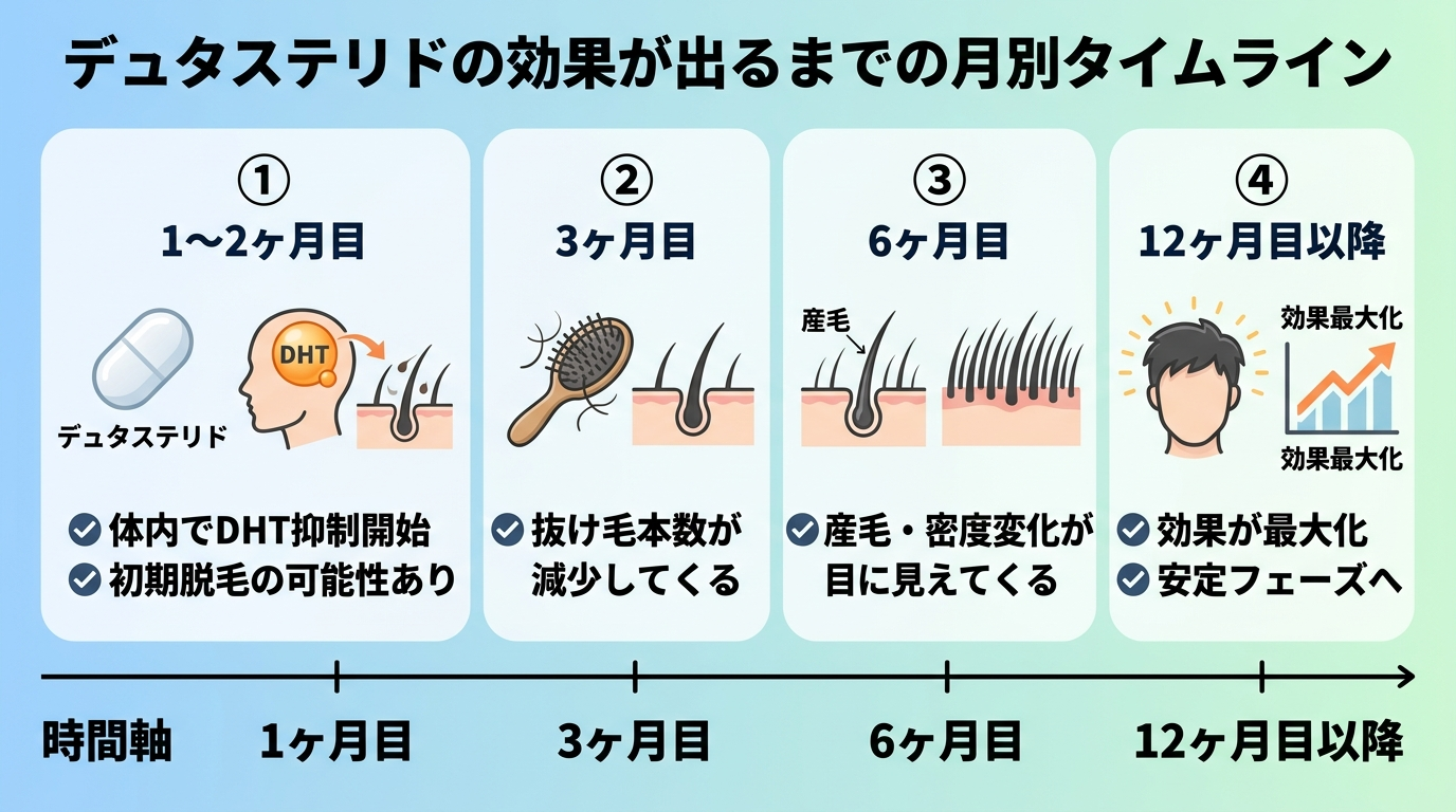タイトル: デュタステリドの効果が出るまでの月別タイムライン。横軸に時間軸、4段階のステップを示すインフォグラフィック。ステップ1（1〜2ヶ月目）: 体内でDHT抑制開始・初期脱毛の可能性あり。ステップ2（3ヶ月目）: 抜け毛本数が減少してくる。ステップ3（6ヶ月目）: 産毛・密度変化が目に見えてくる。ステップ4（12ヶ月以降）: 効果が最大化・安定フェーズへ。各ステップに錠剤・毛髪のアイコンを配置