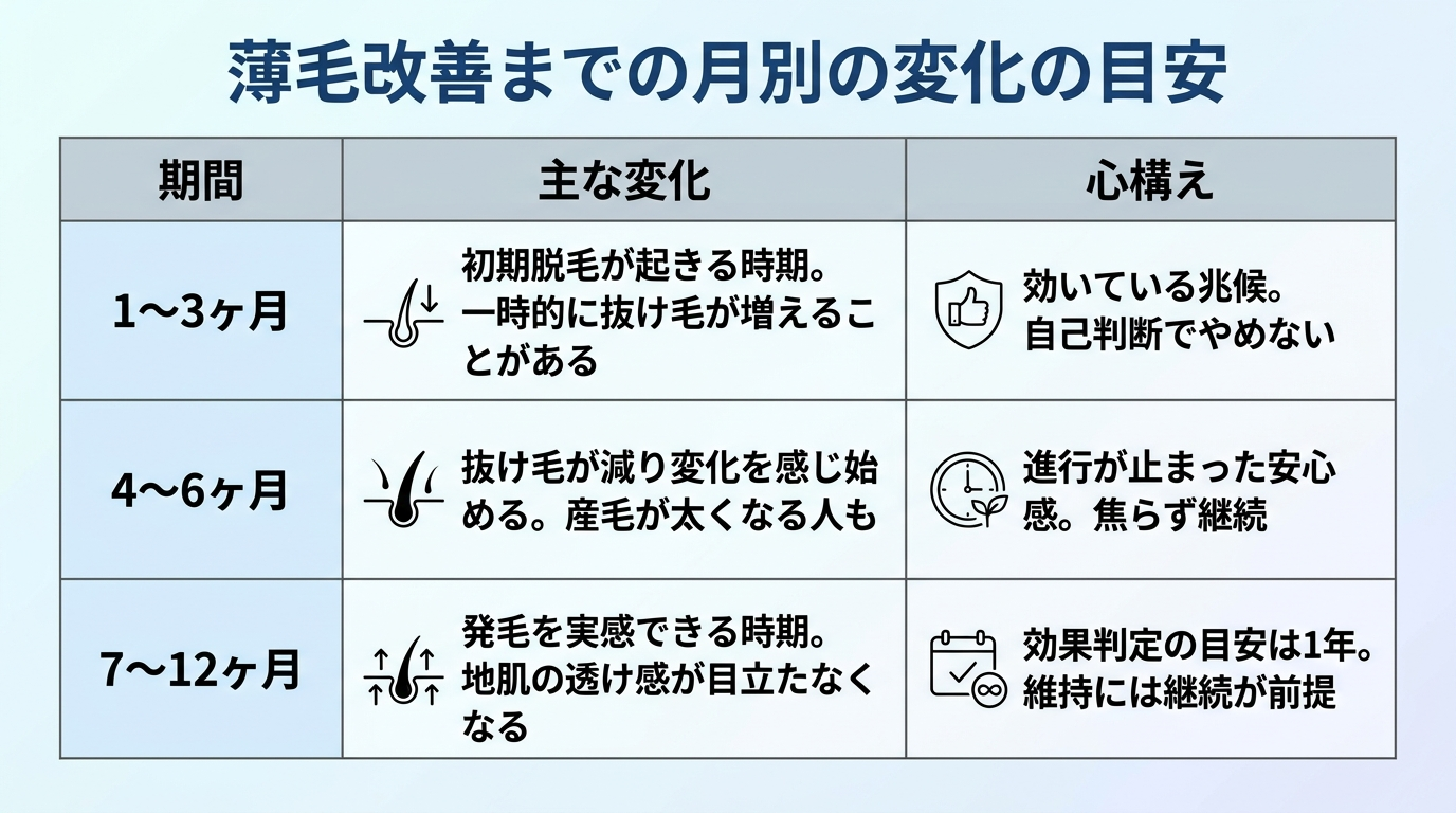 タイトル: 薄毛改善までの月別の変化の目安。3列の表: ヘッダー行: 期間 | 主な変化 | 心構え。行1: 1〜3ヶ月 | 初期脱毛が起きる時期。一時的に抜け毛が増えることがある | 効いている兆候。自己判断でやめない。行2: 4〜6ヶ月 | 抜け毛が減り変化を感じ始める。産毛が太くなる人も | 進行が止まった安心感。焦らず継続。行3: 7〜12ヶ月 | 発毛を実感できる時期。地肌の透け感が目立たなくなる | 効果判定の目安は1年。維持には継続が前提