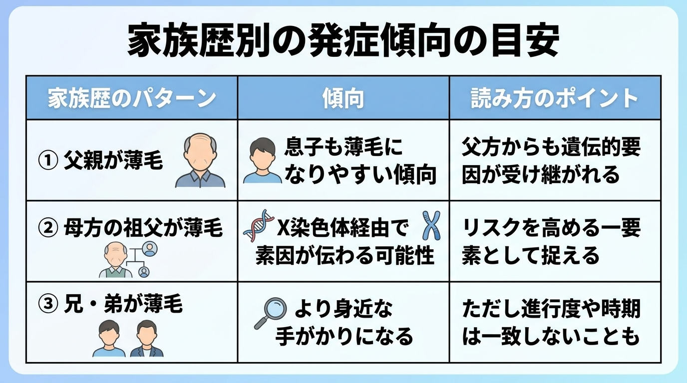 タイトル: 家族歴別の発症傾向の目安。3列の表: ヘッダー行: 家族歴のパターン | 傾向 | 読み方のポイント。行1: 父親が薄毛 | 息子も薄毛になりやすい傾向 | 父方からも遺伝的要因が受け継がれる。行2: 母方の祖父が薄毛 | X染色体経由で素因が伝わる可能性 | リスクを高める一要素として捉える。行3: 兄・弟が薄毛 | より身近な手がかりになる | ただし進行度や時期は一致しないことも