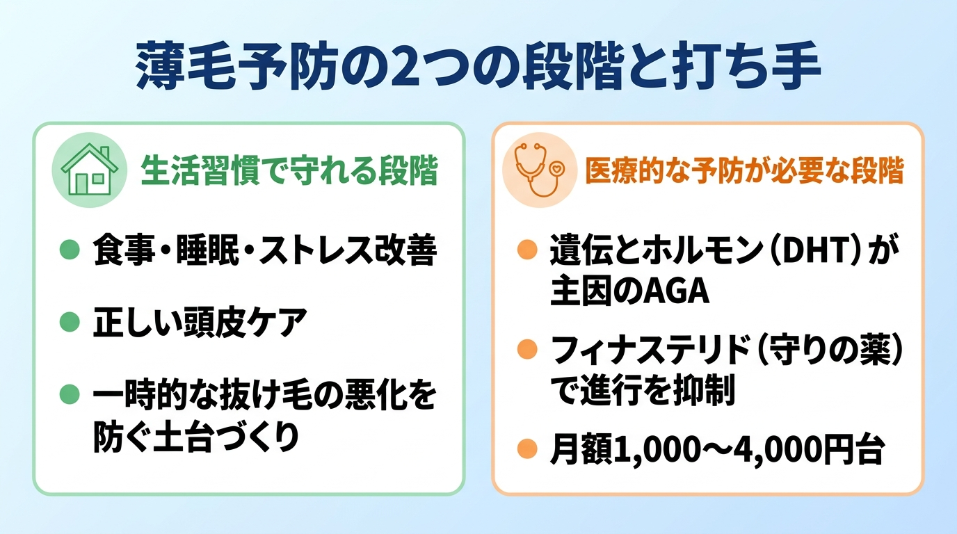 タイトル: 薄毛予防の2つの段階と打ち手。横並び2カードで: カード1(家のアイコン)ヘッダー: 生活習慣で守れる段階、説明: 食事・睡眠・ストレス改善、正しい頭皮ケア。一時的な抜け毛の悪化を防ぐ土台づくり。カード2(聴診器のアイコン)ヘッダー: 医療的な予防が必要な段階、説明: 遺伝とホルモン(DHT)が主因のAGA。フィナステリド(守りの薬)で進行を抑制。月額1,000〜4,000円台