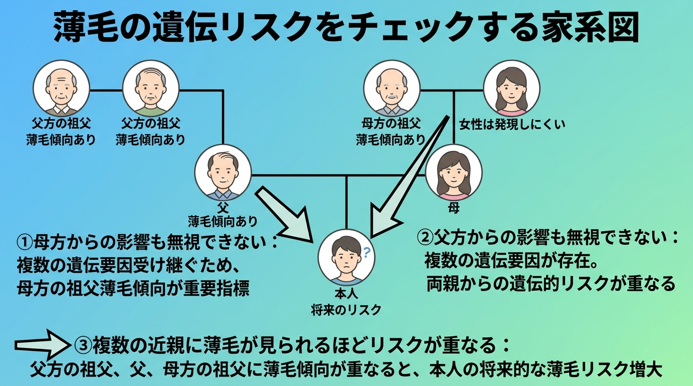 タイトル: 薄毛の遺伝リスクをチェックする家系図。家系図イラストで以下の人物を配置: 父方の祖父、父、母方の祖父、母、本人。注記: アンドロゲン受容体の遺伝子はX染色体上にあり男性は母親から受け継ぐため母方の祖父の薄毛傾向が重要な指標。父方からの影響も無視できない。複数の近親に薄毛が見られるほどリスクが重なる