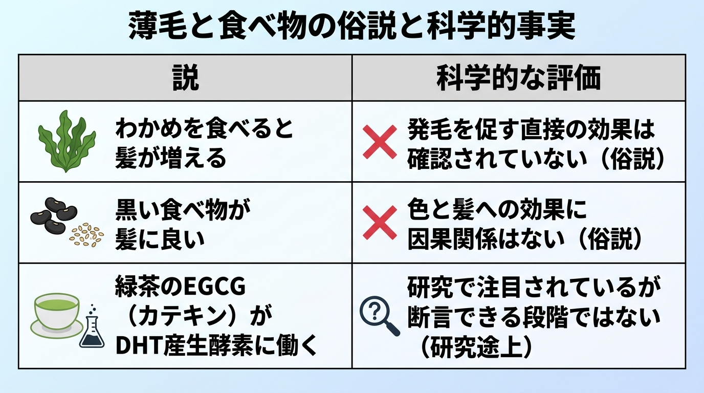 タイトル: 薄毛と食べ物の俗説と科学的事実。2列の表: ヘッダー行: 説 | 科学的な評価。行1: わかめを食べると髪が増える | 発毛を促す直接の効果は確認されていない(俗説)。行2: 黒い食べ物が髪に良い | 色と髪への効果に因果関係はない(俗説)。行3: 緑茶のEGCG(カテキン)がDHT産生酵素に働く | 研究で注目されているが断言できる段階ではない(研究途上)