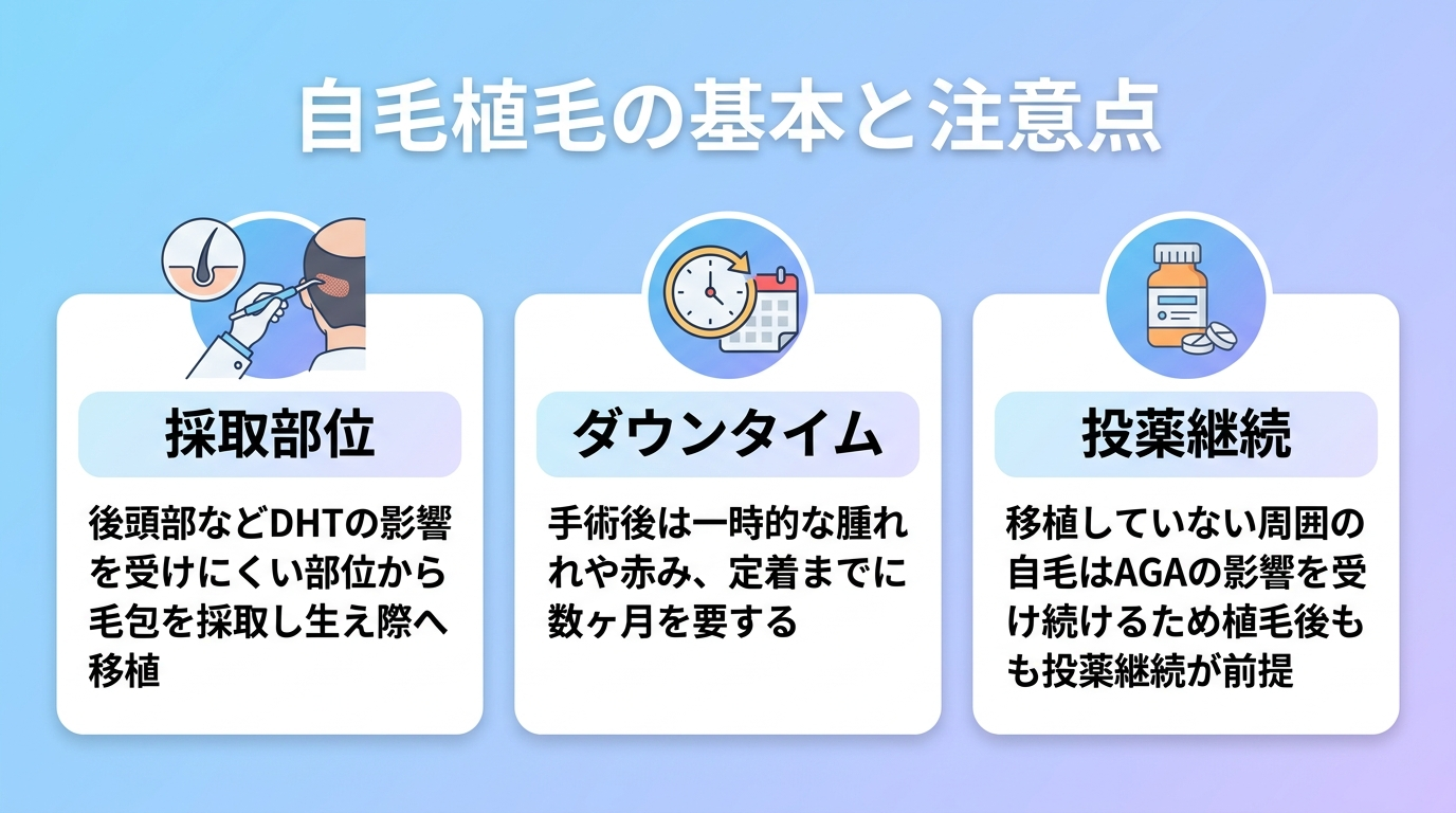 タイトル: 自毛植毛の基本と注意点。横並び3カードで: カード1(採取のアイコン)ヘッダー: 採取部位、説明: 後頭部などDHTの影響を受けにくい部位から毛包を採取し生え際へ移植。カード2(時計のアイコン)ヘッダー: ダウンタイム、説明: 手術後は一時的な腫れや赤み、定着までに数ヶ月を要する。カード3(薬のアイコン)ヘッダー: 投薬継続、説明: 移植していない周囲の自毛はAGAの影響を受け続けるため植毛後も投薬継続が前提