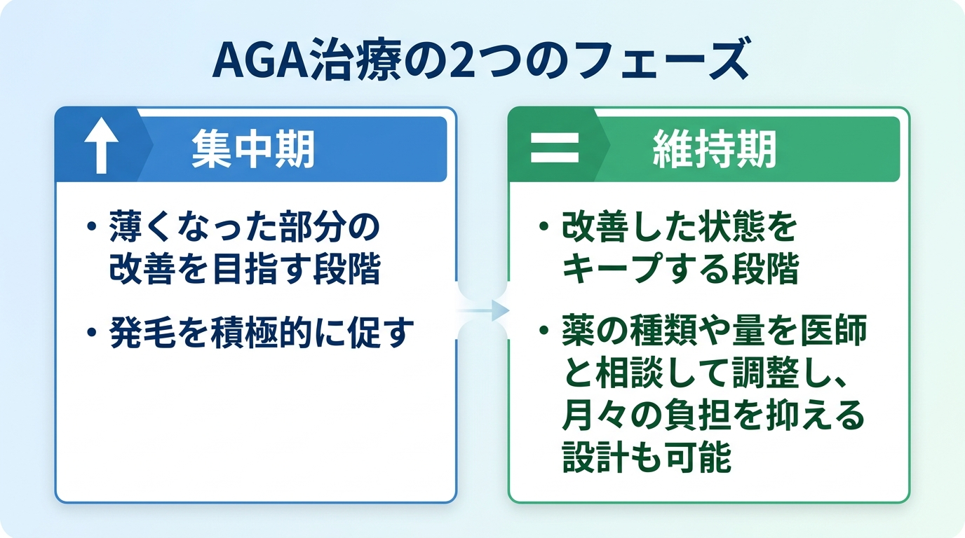 タイトル: AGA治療の2つのフェーズ。横並び2カードで: カード1（上向き矢印アイコン）ヘッダー: 集中期、説明: 薄くなった部分の改善を目指す段階。発毛を積極的に促す。カード2（イコールアイコン）ヘッダー: 維持期、説明: 改善した状態をキープする段階。薬の種類や量を医師と相談して調整し、月々の負担を抑える設計も可能。