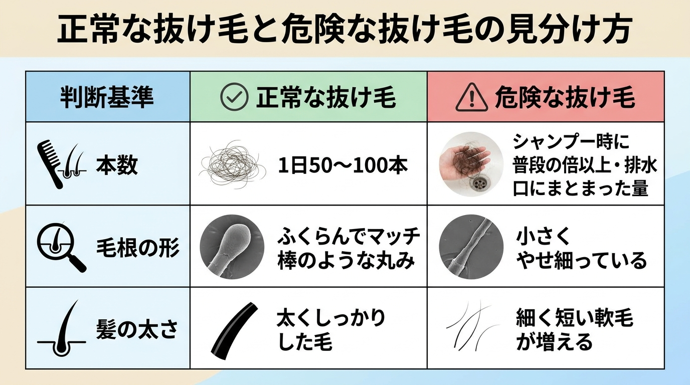 タイトル: 正常な抜け毛と危険な抜け毛の見分け方。3列の比較表: ヘッダー行: 判断基準 | 正常な抜け毛 | 危険な抜け毛。行1: 本数 | 1日50〜100本 | シャンプー時に普段の倍以上・排水口にまとまった量。行2: 毛根の形 | ふくらんでマッチ棒のような丸み | 小さくやせ細っている。行3: 髪の太さ | 太くしっかりした毛 | 細く短い軟毛が増える。