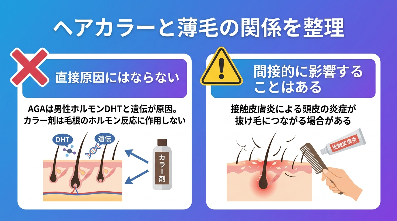 タイトル: ヘアカラーと薄毛の関係を整理。横並び2カードで: カード1（バツ印のアイコン）ヘッダー: 直接原因にはならない、説明: AGAは男性ホルモンDHTと遺伝が原因。カラー剤は毛根のホルモン反応に作用しない。カード2（三角の注意アイコン）ヘッダー: 間接的に影響することはある、説明: 接触皮膚炎による頭皮の炎症が抜け毛につながる場合がある