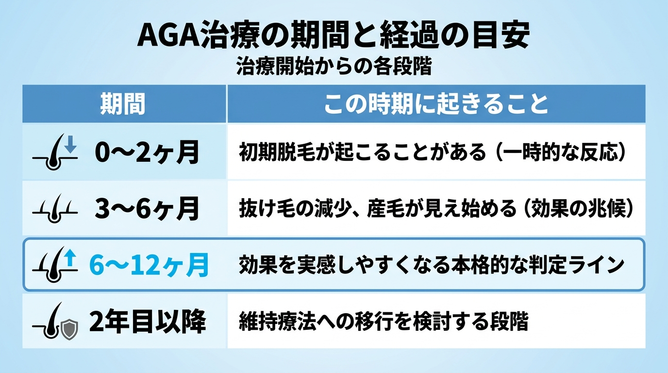 タイトル: AGA治療の期間と経過の目安。4行の表: ヘッダー行: 期間 | この時期に起きること。行1: 0〜2ヶ月 | 初期脱毛が起こることがある（一時的な反応）。行2: 3〜6ヶ月 | 抜け毛の減少、産毛が見え始める（効果の兆候）。行3: 6〜12ヶ月 | 効果を実感しやすくなる本格的な判定ライン。行4: 2年目以降 | 維持療法への移行を検討する段階