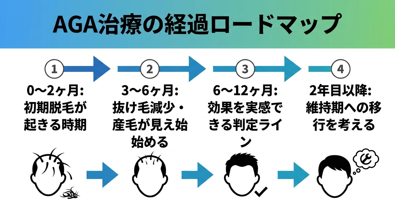 タイトル: AGA治療の経過ロードマップ（時系列フロー図）。左から右へ4ステップの矢印フロー: ステップ1「0〜2ヶ月: 初期脱毛が起きる時期」→ ステップ2「3〜6ヶ月: 抜け毛減少・産毛が見え始める」→ ステップ3「6〜12ヶ月: 効果を実感できる判定ライン」→ ステップ4「2年目以降: 維持期への移行を考える」。各ステップに髪の状態を示すアイコンを添える