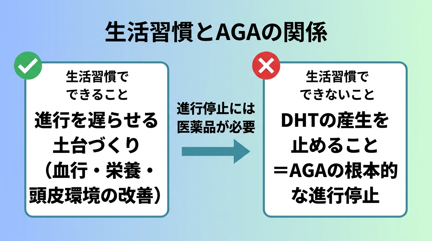 タイトル: 生活習慣とAGAの関係。横並び2カードで対比: カード1(チェックアイコン・できること)ヘッダー: 生活習慣でできること、説明: 進行を遅らせる土台づくり(血行・栄養・頭皮環境の改善)。カード2(バツアイコン・できないこと)ヘッダー: 生活習慣でできないこと、説明: DHTの産生を止めること=AGAの根本的な進行停止。中央に矢印で『進行停止には医薬品が必要』と注記
