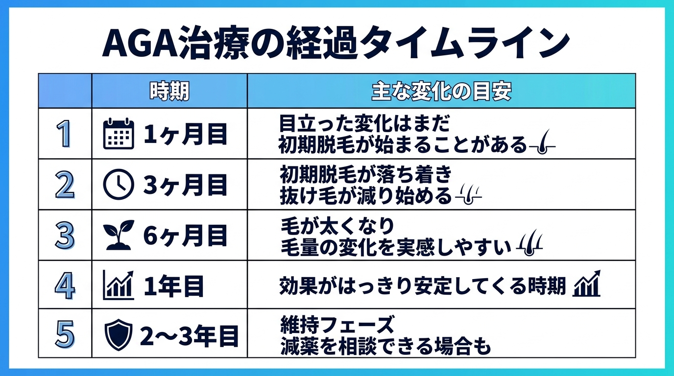 タイトル: AGA治療の経過タイムライン。5行2列の表: ヘッダー行: 時期 | 主な変化の目安。行1: 1ヶ月目 | 目立った変化はまだ。初期脱毛が始まることがある。行2: 3ヶ月目 | 初期脱毛が落ち着き、抜け毛が減り始める。行3: 6ヶ月目 | 毛が太くなり、毛量の変化を実感しやすい。行4: 1年目 | 効果がはっきり安定してくる時期。行5: 2〜3年目 | 維持フェーズ。減薬を相談できる場合も