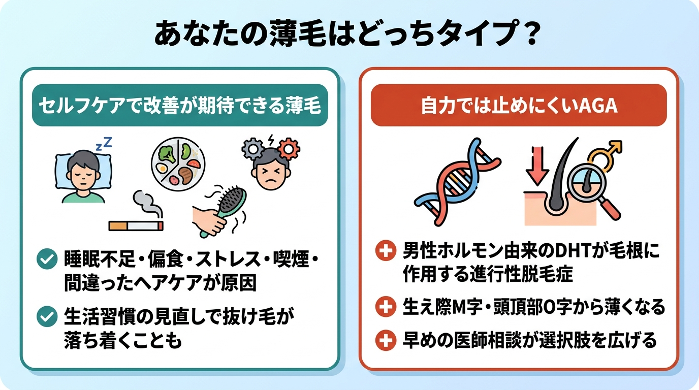 タイトル: あなたの薄毛はどっちタイプ?。横並び2カードで比較: カード1(生活習慣のアイコン)ヘッダー: セルフケアで改善が期待できる薄毛、説明: 睡眠不足・偏食・ストレス・喫煙・間違ったヘアケアが原因。生活習慣の見直しで抜け毛が落ち着くことも。カード2(DNA・毛根のアイコン)ヘッダー: 自力では止めにくいAGA、説明: 男性ホルモン由来のDHTが毛根に作用する進行性脱毛症。生え際M字・頭頂部O字から薄くなる。早めの医師相談が選択肢を広げる