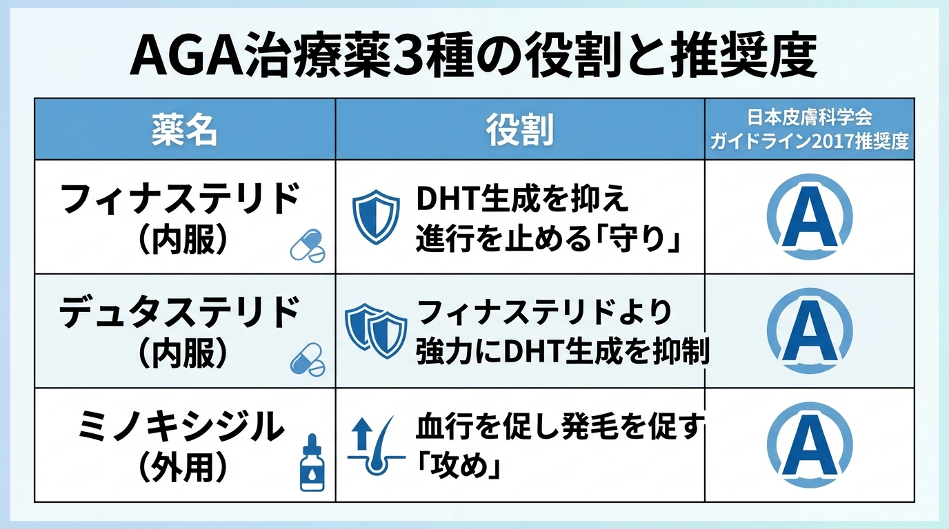 タイトル: AGA治療薬3種の役割と推奨度。3列の表。ヘッダー行: 薬名 | 役割 | 日本皮膚科学会ガイドライン2017推奨度。行1: フィナステリド(内服) | DHT生成を抑え進行を止める「守り」 | A。行2: デュタステリド(内服) | フィナステリドより強力にDHT生成を抑制 | A。行3: ミノキシジル(外用) | 血行を促し発毛を促す「攻め」 | A