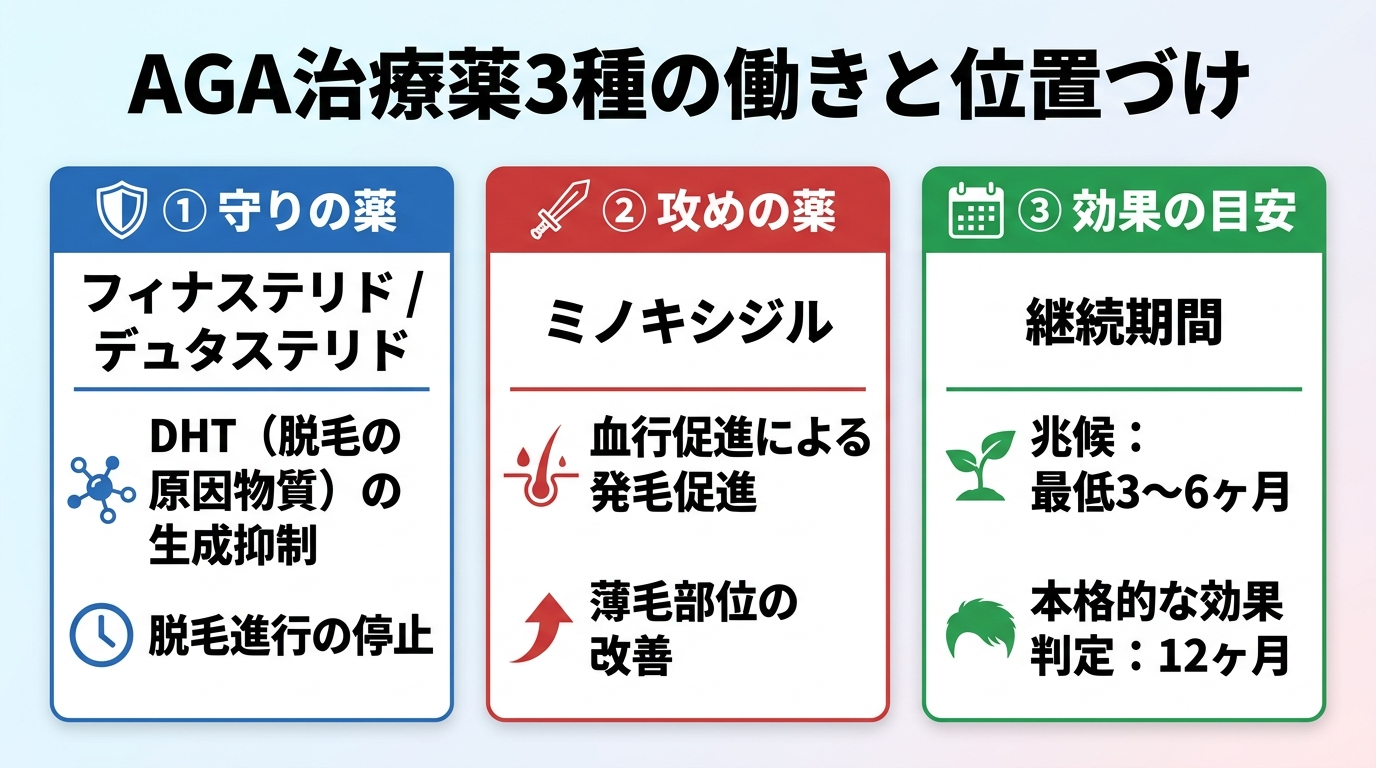 タイトル: AGA治療薬3種の働きと位置づけ。横並び3カードで: カード1(守りの薬)ヘッダー: フィナステリド/デュタステリド、説明: DHT(脱毛の原因物質)の生成を抑える内服薬。進行を止める。カード2(攻めの薬)ヘッダー: ミノキシジル、説明: 血行促進により発毛を促す。すでに薄くなった部位の発毛促進。カード3(効果の目安)ヘッダー: 継続期間、説明: 最低3〜6ヶ月で兆候、12ヶ月で本格的な効果判定