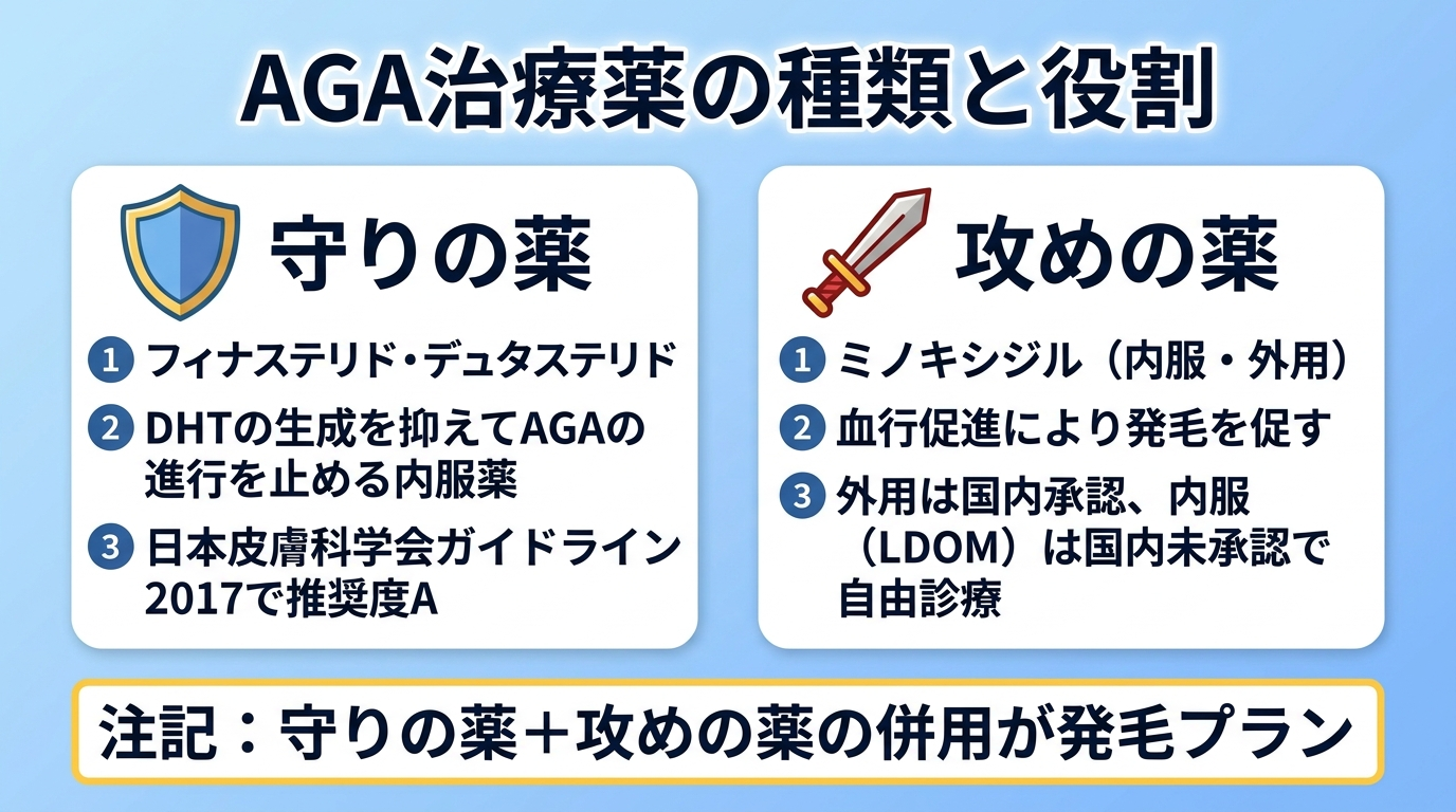 タイトル: AGA治療薬の種類と役割。横並び2カードで: カード1(盾のアイコン)ヘッダー: 守りの薬。内容: フィナステリド・デュタステリド。DHTの生成を抑えてAGAの進行を止める内服薬。日本皮膚科学会ガイドライン2017で推奨度A。カード2(剣のアイコン)ヘッダー: 攻めの薬。内容: ミノキシジル(内服・外用)。血行促進により発毛を促す。外用は国内承認、内服(LDOM)は国内未承認で自由診療。下部に注記: 守りの薬+攻めの薬の併用が発毛プラン