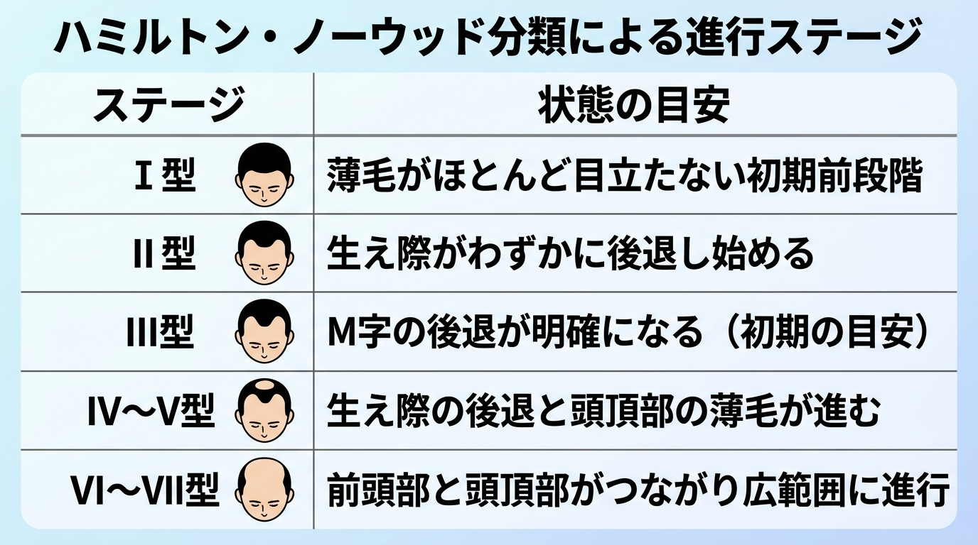 タイトル: ハミルトン・ノーウッド分類による進行ステージ。2列の表: ヘッダー行: ステージ | 状態の目安。行1: I型 | 薄毛がほとんど目立たない初期前段階。行2: II型 | 生え際がわずかに後退し始める。行3: III型 | M字の後退が明確になる(初期の目安)。行4: IV〜V型 | 生え際の後退と頭頂部の薄毛が進む。行5: VI〜VII型 | 前頭部と頭頂部がつながり広範囲に進行