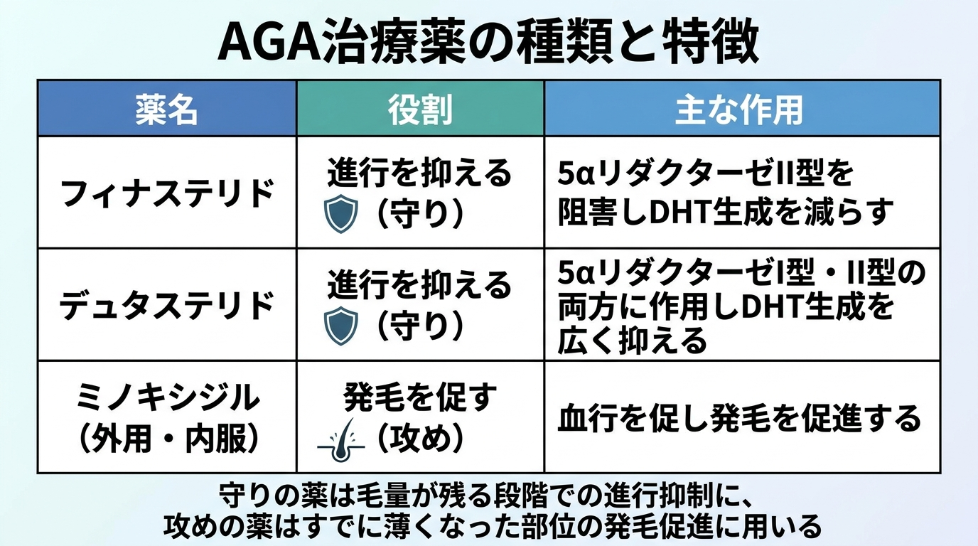 タイトル: AGA治療薬の種類と特徴。3列の表: ヘッダー行: 薬名 | 役割 | 主な作用。行1: フィナステリド | 進行を抑える(守り) | 5αリダクターゼII型を阻害しDHT生成を減らす。行2: デュタステリド | 進行を抑える(守り) | 5αリダクターゼI型・II型の両方に作用しDHT生成を広く抑える。行3: ミノキシジル(外用・内服) | 発毛を促す(攻め) | 血行を促し発毛を促進する。下部注記: 守りの薬は毛量が残る段階での進行抑制に、攻めの薬はすでに薄くなった部位の発毛促進に用いる