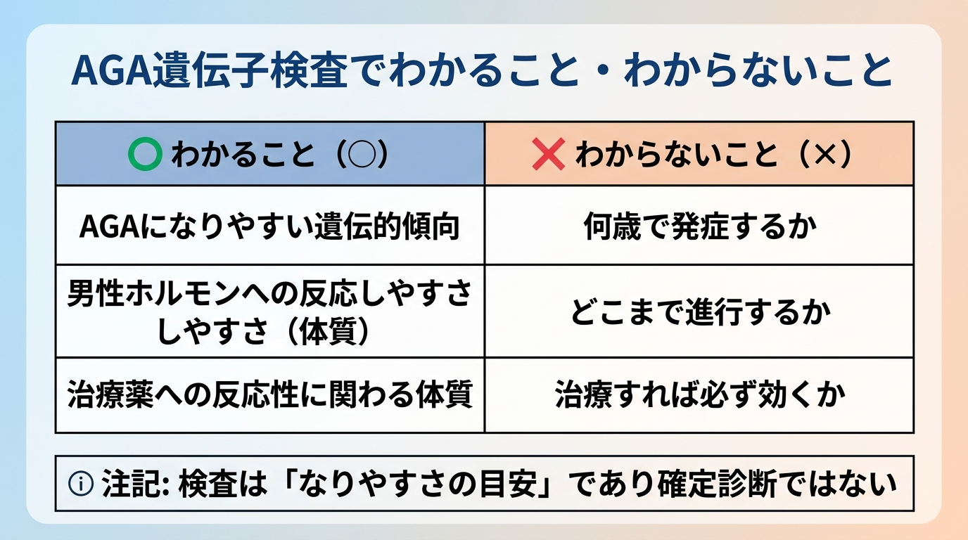 タイトル: AGA遺伝子検査でわかること・わからないこと。2列の対比表: ヘッダー行: わかること(○) | わからないこと(×)。行1: AGAになりやすい遺伝的傾向 | 何歳で発症するか。行2: 男性ホルモンへの反応しやすさ(体質) | どこまで進行するか。行3: 治療薬への反応性に関わる体質 | 治療すれば必ず効くか。表の下に注記: 検査は「なりやすさの目安」であり確定診断ではない