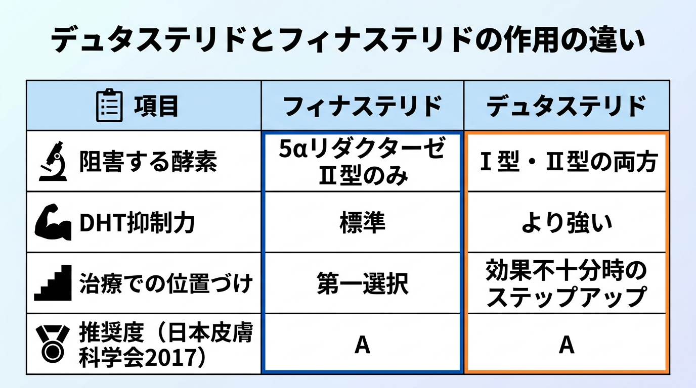 タイトル: デュタステリドとフィナステリドの作用の違い。4列の表: ヘッダー行: 項目 | フィナステリド | デュタステリド。行1: 阻害する酵素 | 5αリダクターゼⅡ型のみ | Ⅰ型・Ⅱ型の両方。行2: DHT抑制力 | 標準 | より強い。行3: 治療での位置づけ | 第一選択 | 効果不十分時のステップアップ。行4: 推奨度(日本皮膚科学会2017) | A | A
