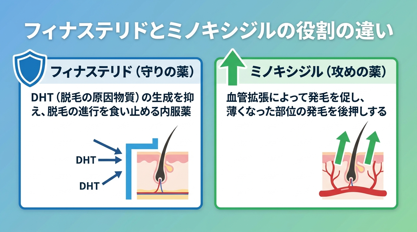 タイトル: フィナステリドとミノキシジルの役割の違い。横並び2カード型。カード1（盾のアイコン）ヘッダー: フィナステリド（守りの薬）、説明: DHT（脱毛の原因物質）の生成を抑え、脱毛の進行を食い止める内服薬。カード2（矢印・上向きアイコン）ヘッダー: ミノキシジル（攻めの薬）、説明: 血管拡張によって発毛を促し、薄くなった部位の発毛を後押しする