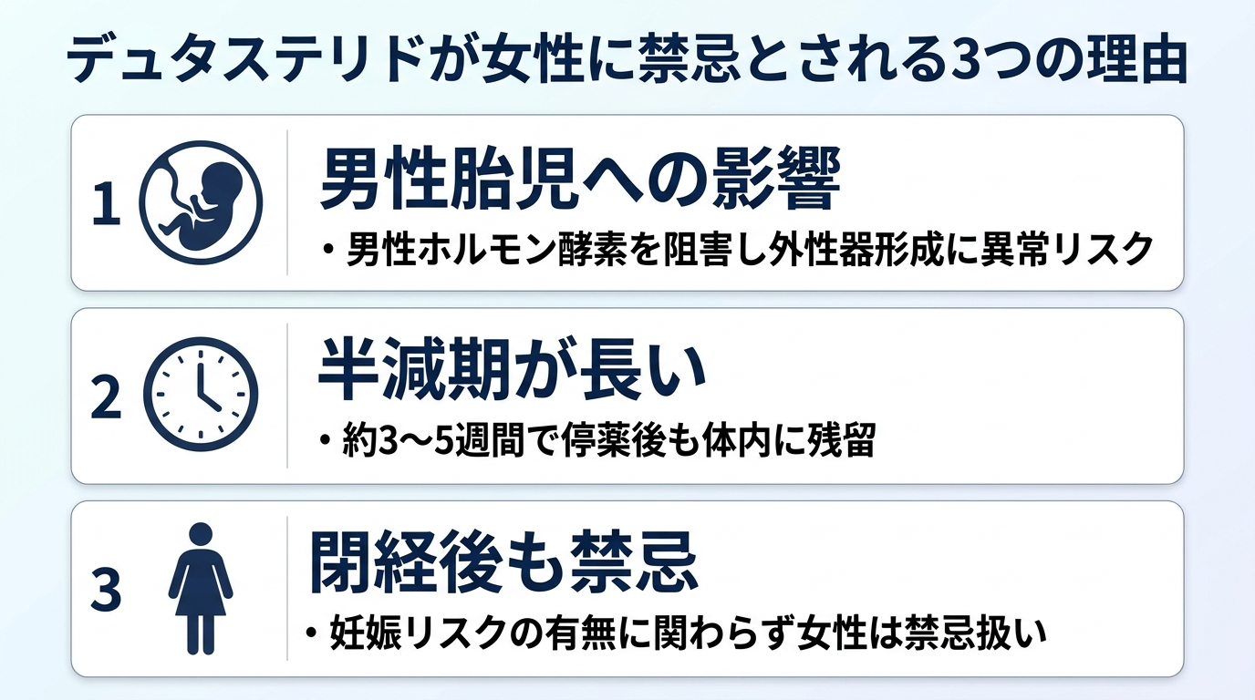 タイトル: デュタステリドが女性に禁忌とされる3つの理由。縦並び3カードで: カード1(胎児のアイコン)ヘッダー: 男性胎児への影響、説明: 男性ホルモン酵素を阻害し外性器形成に異常リスク。カード2(時計のアイコン)ヘッダー: 半減期が長い、説明: 約3〜5週間で停薬後も体内に残留。カード3(女性のアイコン)ヘッダー: 閉経後も禁忌、説明: 妊娠リスクの有無に関わらず女性は禁忌扱い