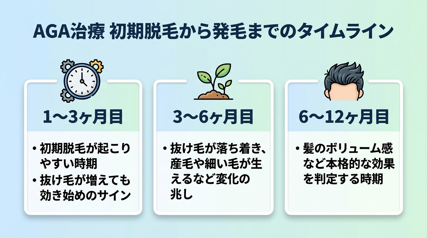 タイトル: AGA治療 初期脱毛から発毛までのタイムライン。横並び3カードで: カード1(時計のアイコン)ヘッダー: 1〜3ヶ月目、説明: 初期脱毛が起こりやすい時期。抜け毛が増えても効き始めのサイン。カード2(芽のアイコン)ヘッダー: 3〜6ヶ月目、説明: 抜け毛が落ち着き、産毛や細い毛が生えるなど変化の兆し。カード3(髪のアイコン)ヘッダー: 6〜12ヶ月目、説明: 髪のボリューム感など本格的な効果を判定する時期