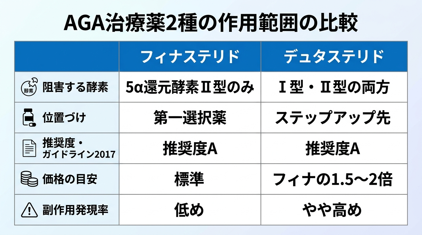 タイトル: AGA治療薬2種の作用範囲の比較。2列の表: ヘッダー行: フィナステリド | デュタステリド。行1(阻害する酵素): 5α還元酵素Ⅱ型のみ | Ⅰ型・Ⅱ型の両方。行2(位置づけ): 第一選択薬 | ステップアップ先。行3(推奨度・ガイドライン2017): 推奨度A | 推奨度A。行4(価格の目安): 標準 | フィナの1.5〜2倍。行5(副作用発現率): 低め | やや高め