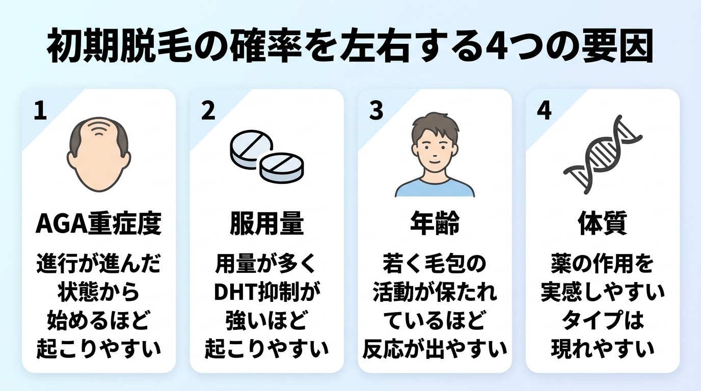 タイトル: 初期脱毛の確率を左右する4つの要因。横並び4カードで: カード1（頭部アイコン）AGA重症度: 進行が進んだ状態から始めるほど起こりやすい。カード2（錠剤アイコン）服用量: 用量が多くDHT抑制が強いほど起こりやすい。カード3（人物アイコン）年齢: 若く毛包の活動が保たれているほど反応が出やすい。カード4（DNAアイコン）体質: 薬の作用を実感しやすいタイプは現れやすい