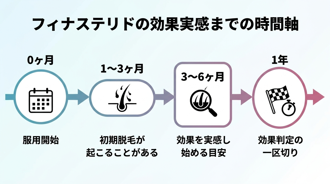 タイトル: フィナステリドの効果実感までの時間軸。横向きタイムライン図: 0ヶ月(服用開始)→ 1〜3ヶ月(初期脱毛が起こることがある)→ 3〜6ヶ月(効果を実感し始める目安)→ 1年(効果判定の一区切り)。各ポイントに目安を記載
