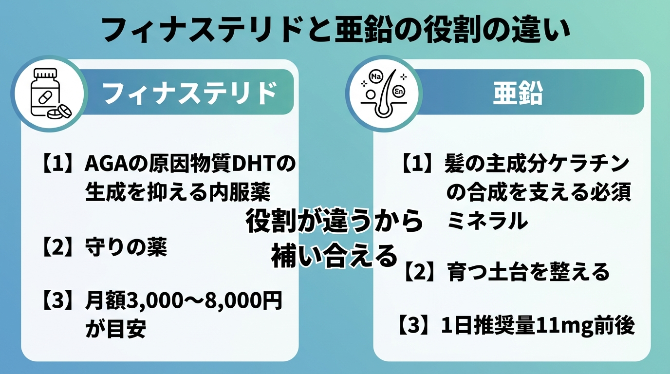 タイトル: フィナステリドと亜鉛の役割の違い。横並び2カードで比較: カード1（錠剤のアイコン）ヘッダー: フィナステリド、説明: AGAの原因物質DHTの生成を抑える内服薬。守りの薬。月額3,000〜8,000円が目安。カード2（栄養素のアイコン）ヘッダー: 亜鉛、説明: 髪の主成分ケラチンの合成を支える必須ミネラル。育つ土台を整える。1日推奨量11mg前後。中央に『役割が違うから補い合える』のテキスト