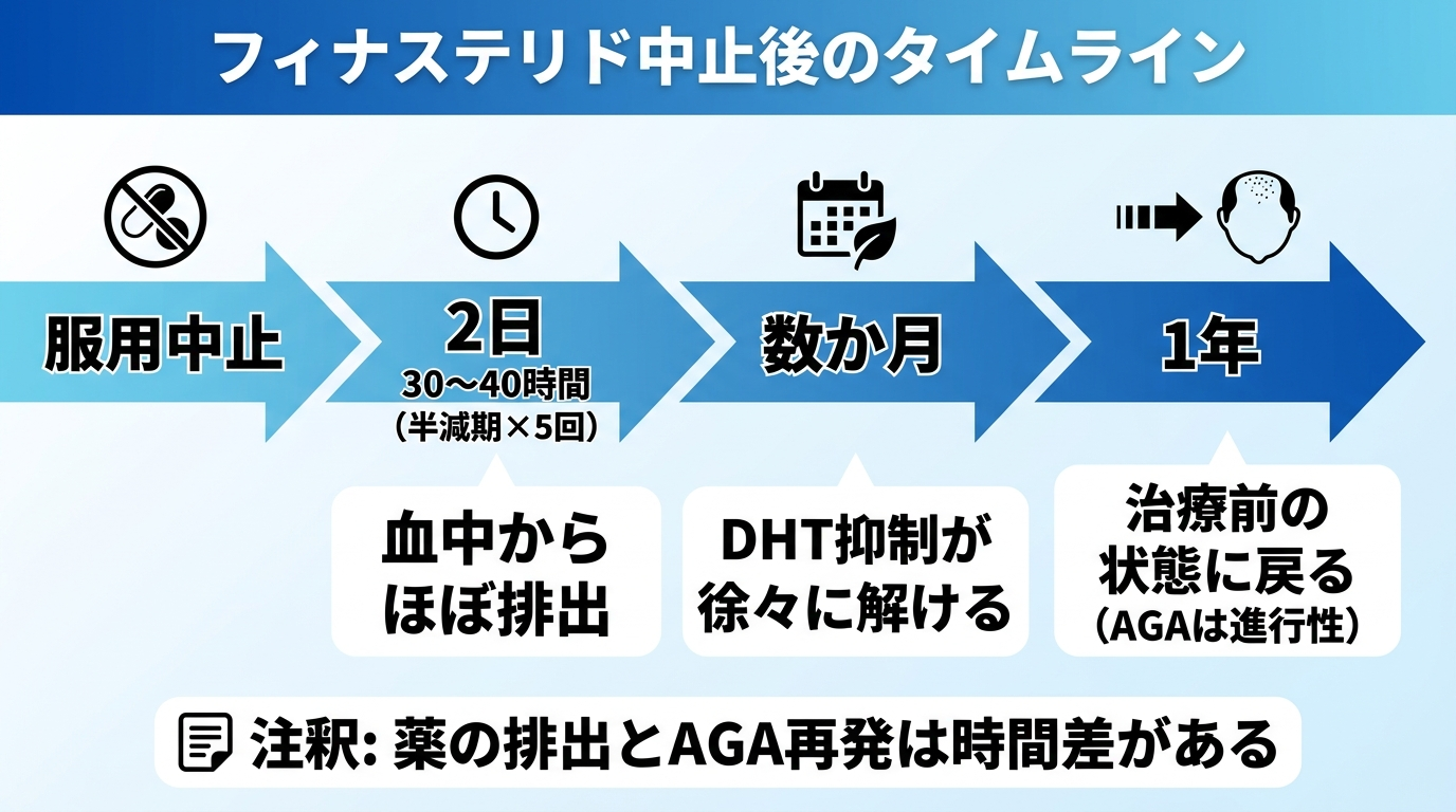 タイトル: フィナステリド中止後のタイムライン。横軸が時間経過(服用中止→2日→数か月→1年)の段階フロー図。ステップ1: 中止直後〜30〜40時間(半減期×5回)で血中からほぼ排出。ステップ2: 数日〜DHT抑制が徐々に解ける。ステップ3: 数か月〜1年で治療前の状態に戻る(AGAは進行性)。注釈: 薬の排出とAGA再発は時間差がある