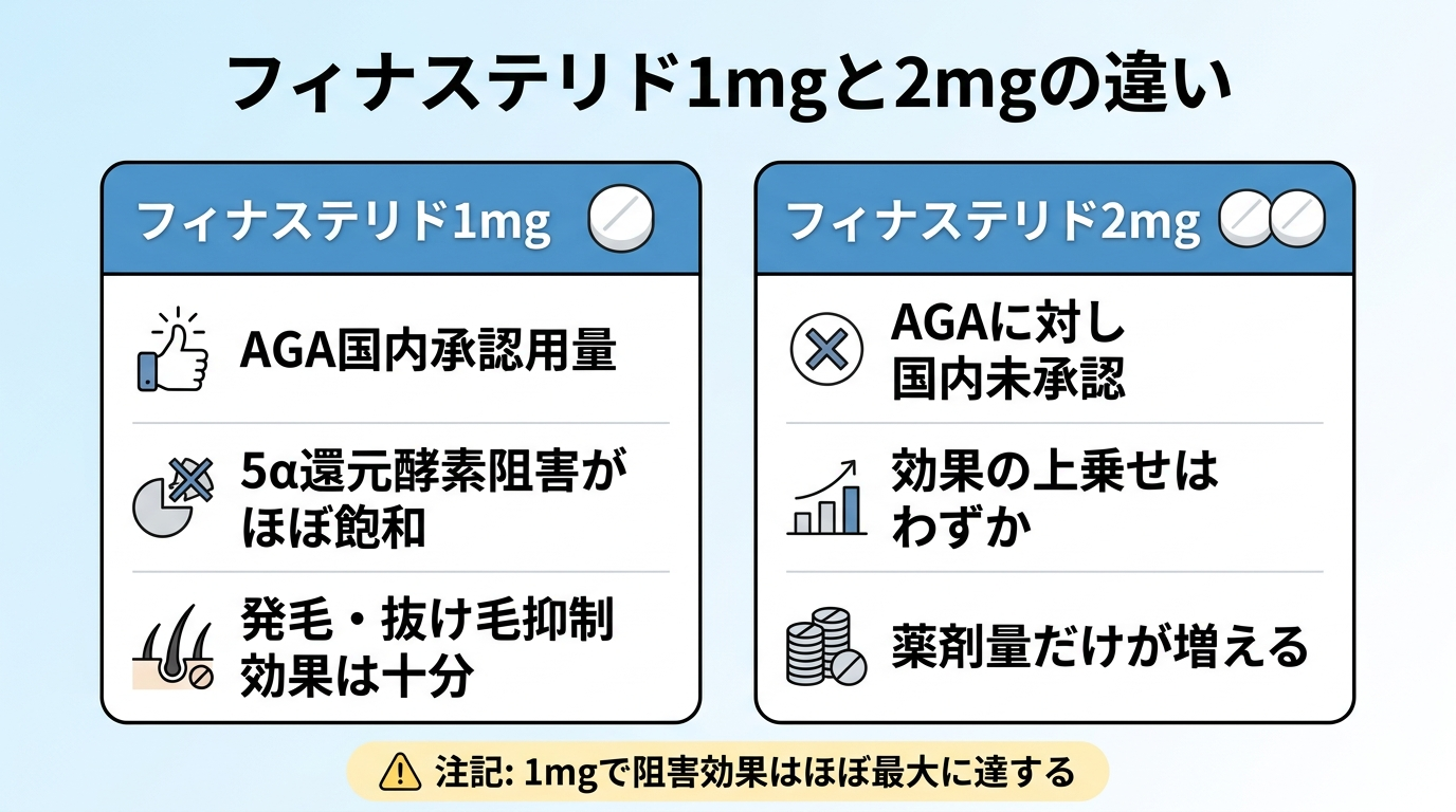 タイトル: フィナステリド1mgと2mgの違い。横並び2カードで比較。カード1（錠剤1個のアイコン）ヘッダー: フィナステリド1mg、説明: AGA国内承認用量。5α還元酵素阻害がほぼ飽和。発毛・抜け毛抑制効果は十分。カード2（錠剤2個のアイコン）ヘッダー: フィナステリド2mg、説明: AGAに対し国内未承認。効果の上乗せはわずか。薬剤量だけが増える。下部に注記: 1mgで阻害効果はほぼ最大に達する