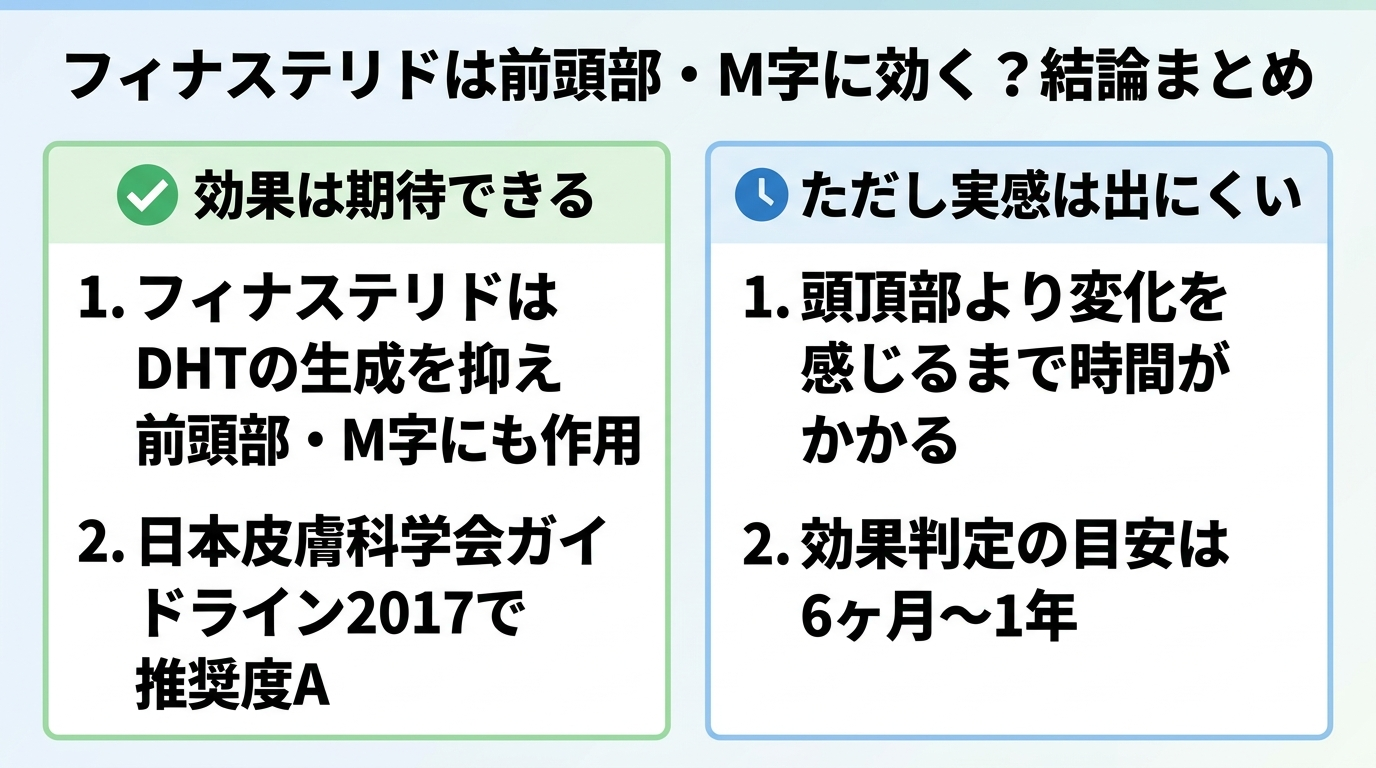 タイトル: フィナステリドは前頭部・M字に効く？結論まとめ。横並び2カードで: カード1（チェックアイコン）ヘッダー: 効果は期待できる、説明: フィナステリドはDHTの生成を抑え前頭部・M字にも作用する。日本皮膚科学会ガイドライン2017で推奨度A。カード2（時計アイコン）ヘッダー: ただし実感は出にくい、説明: 頭頂部より変化を感じるまで時間がかかる。効果判定の目安は6ヶ月〜1年。