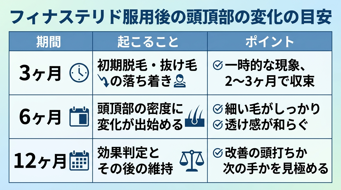 タイトル: フィナステリド服用後の頭頂部の変化の目安。3列の表: ヘッダー行: 期間 | 起こること | ポイント。行1: 3ヶ月 | 初期脱毛・抜け毛の落ち着き | 一時的な現象、2〜3ヶ月で収束。行2: 6ヶ月 | 頭頂部の密度に変化が出始める | 細い毛がしっかり、透け感が和らぐ。行3: 12ヶ月 | 効果判定とその後の維持 | 改善の頭打ちか次の手かを見極める