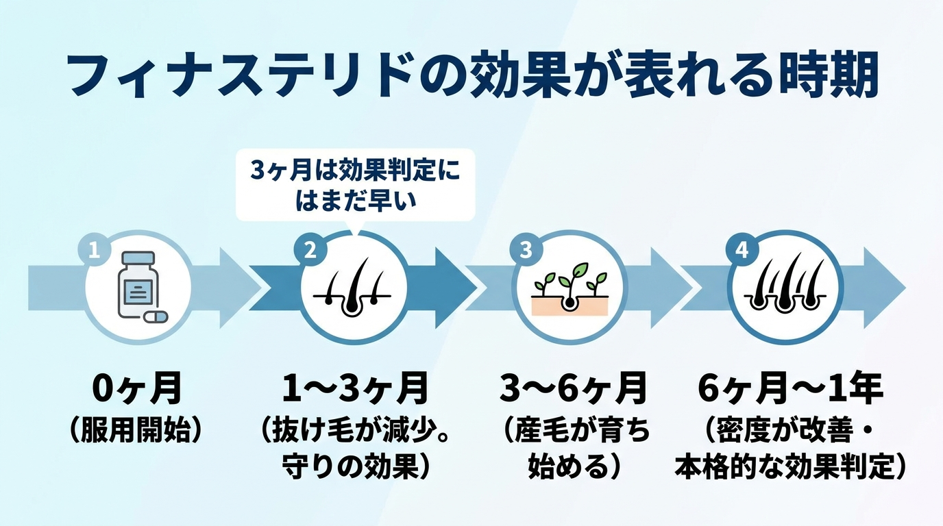 タイトル: フィナステリドの効果が表れる時期。横向きタイムラインのイラスト。左から右へ4段階: 0ヶ月(服用開始)→ 1〜3ヶ月(抜け毛が減少。守りの効果)→ 3〜6ヶ月(産毛が育ち始める)→ 6ヶ月〜1年(密度が改善・本格的な効果判定)。1〜3ヶ月の段階を矢印で強調し『3ヶ月は効果判定にはまだ早い』とキャプションを付ける
