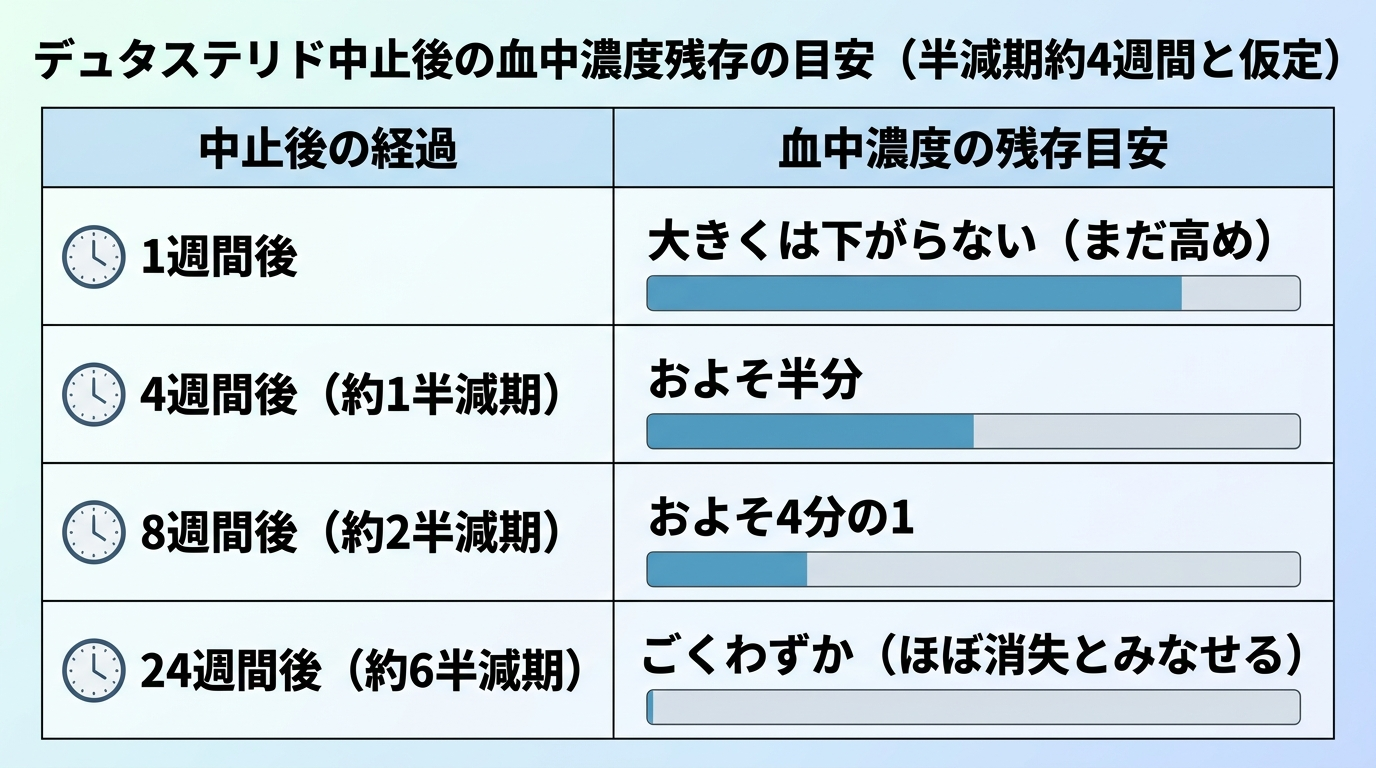 タイトル: デュタステリド中止後の血中濃度残存の目安(半減期約4週間と仮定)。2列の表: ヘッダー行: 中止後の経過 | 血中濃度の残存目安。行1: 1週間後 | 大きくは下がらない(まだ高め)。行2: 4週間後(約1半減期) | およそ半分。行3: 8週間後(約2半減期) | およそ4分の1。行4: 24週間後(約6半減期) | ごくわずか(ほぼ消失とみなせる)