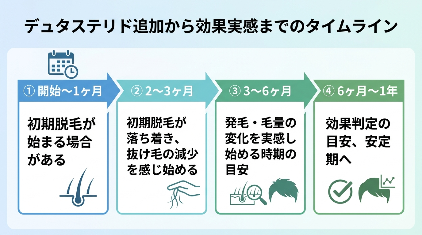 タイトル: デュタステリド追加から効果実感までのタイムライン。横軸タイムライン型で4区間: 開始〜1ヶ月: 初期脱毛が始まる場合がある。2〜3ヶ月: 初期脱毛が落ち着き、抜け毛の減少を感じ始める。3〜6ヶ月: 発毛・毛量の変化を実感し始める時期の目安。6ヶ月〜1年: 効果判定の目安、安定期へ