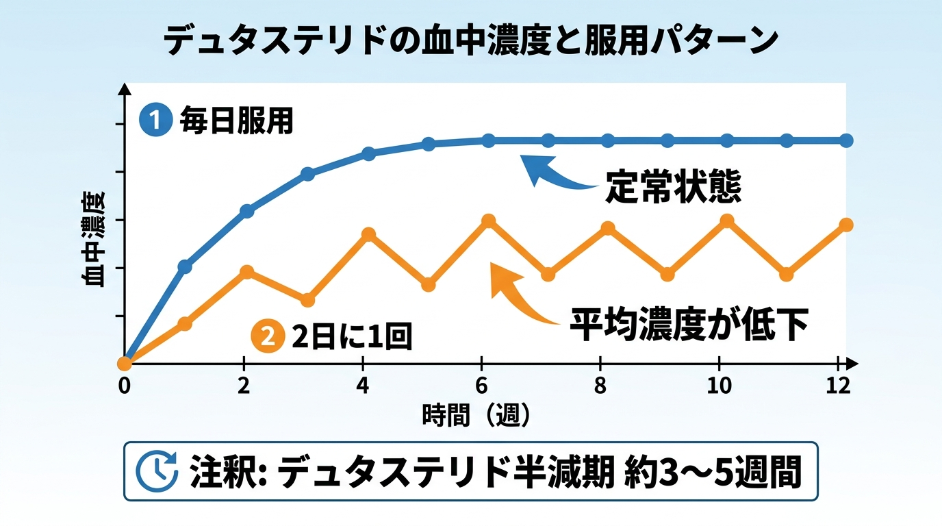 タイトル: デュタステリドの血中濃度と服用パターン。折れ線グラフ。横軸: 時間（週）、縦軸: 血中濃度。青線（毎日服用）: 上昇後に高い位置で水平に安定し「定常状態」と注記。オレンジ線（2日に1回）: 青線より低い位置で山と谷を繰り返しながら推移し「平均濃度が低下」と注記。注釈: デュタステリド半減期 約3〜5週間