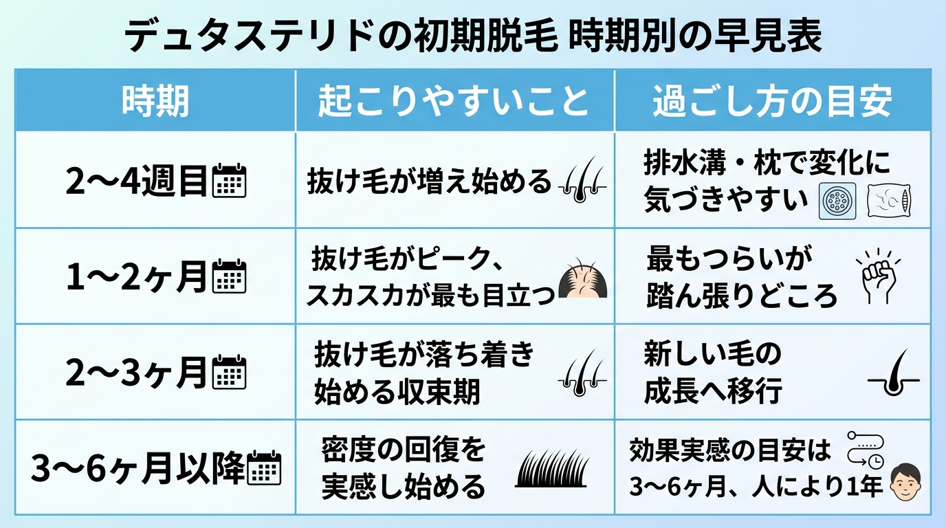 タイトル: デュタステリドの初期脱毛 時期別の早見表。3列の表: ヘッダー行: 時期 | 起こりやすいこと | 過ごし方の目安。行1: 2〜4週目 | 抜け毛が増え始める | 排水溝・枕で変化に気づきやすい。行2: 1〜2ヶ月 | 抜け毛がピーク、スカスカが最も目立つ | 最もつらいが踏ん張りどころ。行3: 2〜3ヶ月 | 抜け毛が落ち着き始める収束期 | 新しい毛の成長へ移行。行4: 3〜6ヶ月以降 | 密度の回復を実感し始める | 効果実感の目安は3〜6ヶ月、人により1年