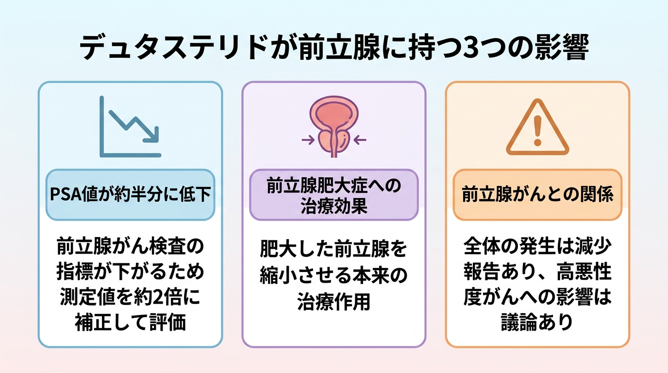 タイトル: デュタステリドが前立腺に持つ3つの影響。横並び3カードで: カード1(検査グラフのアイコン)ヘッダー: PSA値が約半分に低下、説明: 前立腺がん検査の指標が下がるため測定値を約2倍に補正して評価。カード2(前立腺のアイコン)ヘッダー: 前立腺肥大症への治療効果、説明: 肥大した前立腺を縮小させる本来の治療作用。カード3(注意マークのアイコン)ヘッダー: 前立腺がんとの関係、説明: 全体の発生は減少報告あり、高悪性度がんへの影響は議論あり