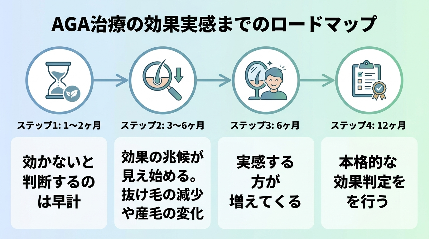 タイトル: AGA治療の効果実感までのロードマップ。横型タイムライン(左から右)4ステップ: ステップ1: 1〜2ヶ月「効かないと判断するのは早計」。ステップ2: 3〜6ヶ月「効果の兆候が見え始める。抜け毛の減少や産毛の変化」。ステップ3: 6ヶ月「実感する方が増えてくる」。ステップ4: 12ヶ月「本格的な効果判定を行う」