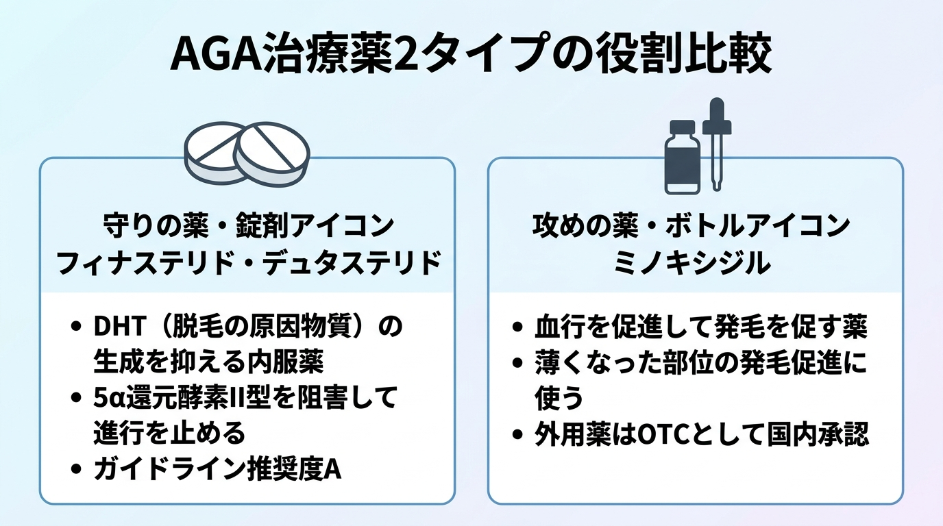 タイトル: AGA治療薬2タイプの役割比較。横並び2カード型: カード1（守りの薬・錠剤アイコン）ヘッダー: フィナステリド・デュタステリド、説明: DHT（脱毛の原因物質）の生成を抑える内服薬。5α還元酵素II型を阻害して進行を止める。ガイドライン推奨度A。カード2（攻めの薬・ボトルアイコン）ヘッダー: ミノキシジル、説明: 血行を促進して発毛を促す薬。薄くなった部位の発毛促進に使う。外用薬はOTCとして国内承認