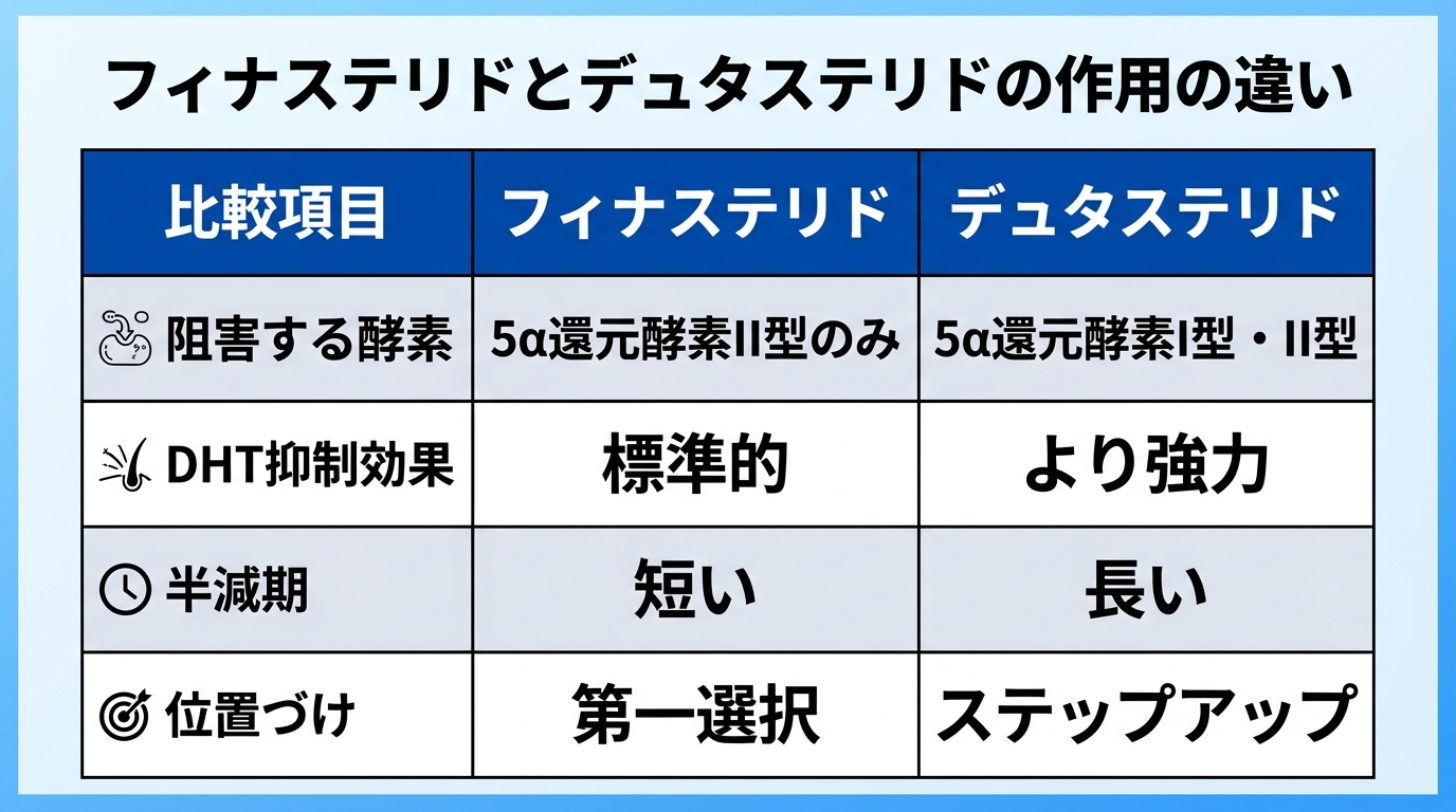 タイトル: フィナステリドとデュタステリドの作用の違い。4列の表: ヘッダー行: 比較項目 | フィナステリド | デュタステリド。行1: 阻害する酵素 | 5α還元酵素II型のみ | 5α還元酵素I型・II型。行2: DHT抑制効果 | 標準的 | より強力。行3: 半減期 | 短い | 長い。行4: 位置づけ | 第一選択 | ステップアップ
